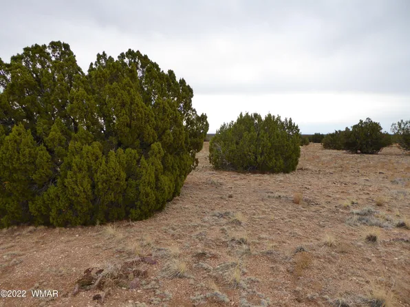 28 T14n R17e W2 #4, Heber, AZ 85928