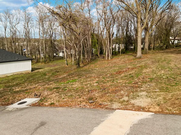 Lot 4 Jeanne Drive, Mt Vernon, MO 65712