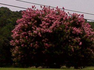 0 N Morrisett Rd, Jefferson City, TN 37760