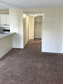4th image of 4131 11th Ave NE APT 606