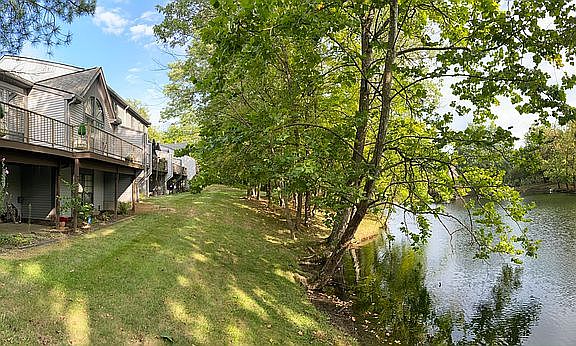 Serenity View of Lake