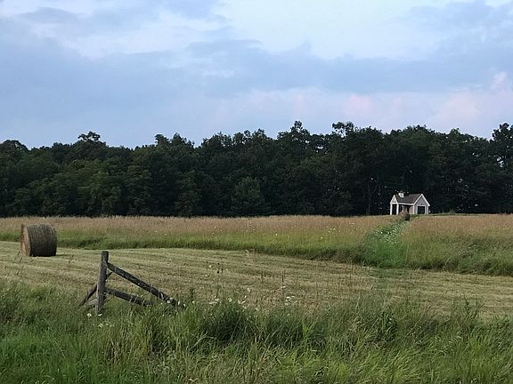 Partly mown field with shed
