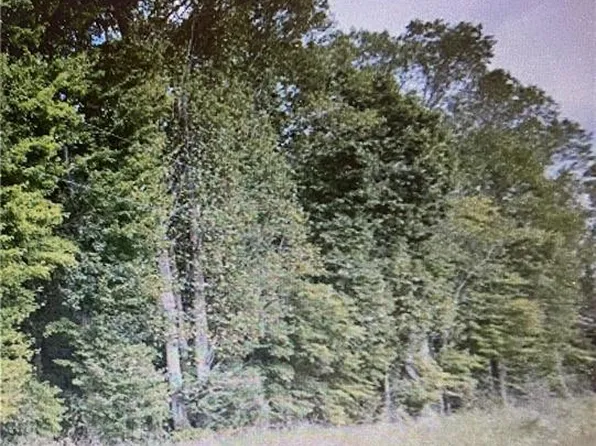 4 Hodges Dairy Rd, Yanceyville, NC 27379