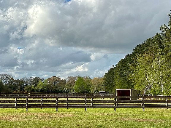 5th image of 1869 Surrey Race Rd