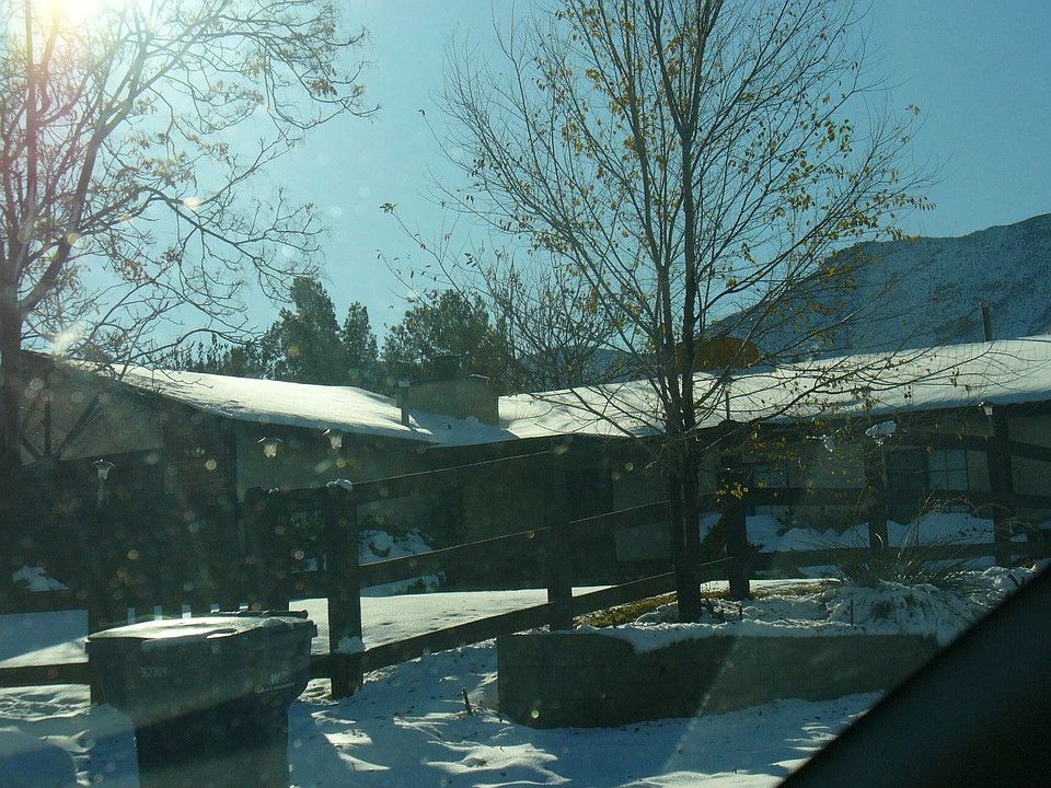 Winter in Acton 2008