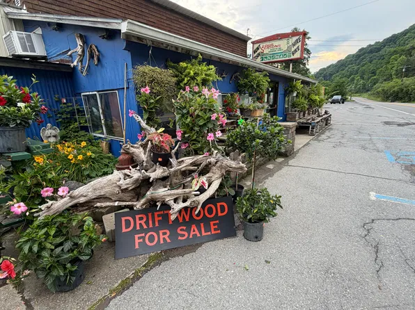 1665 Richwood Rd, Richwood, WV 26261