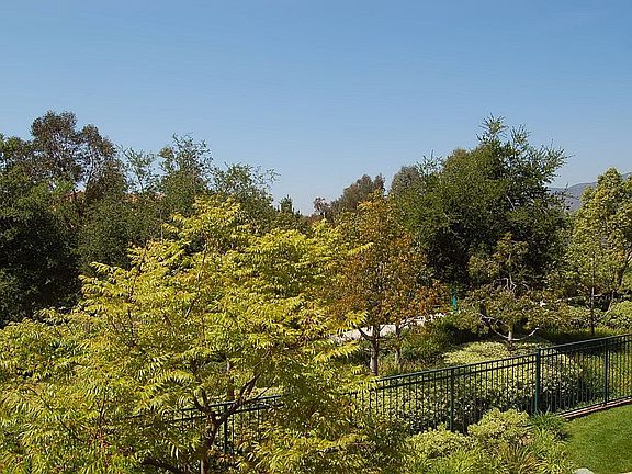 View from Master Bedroom