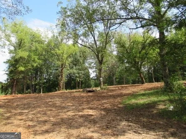 101 Winding Rd Lot 6, Bowdon, GA 30108