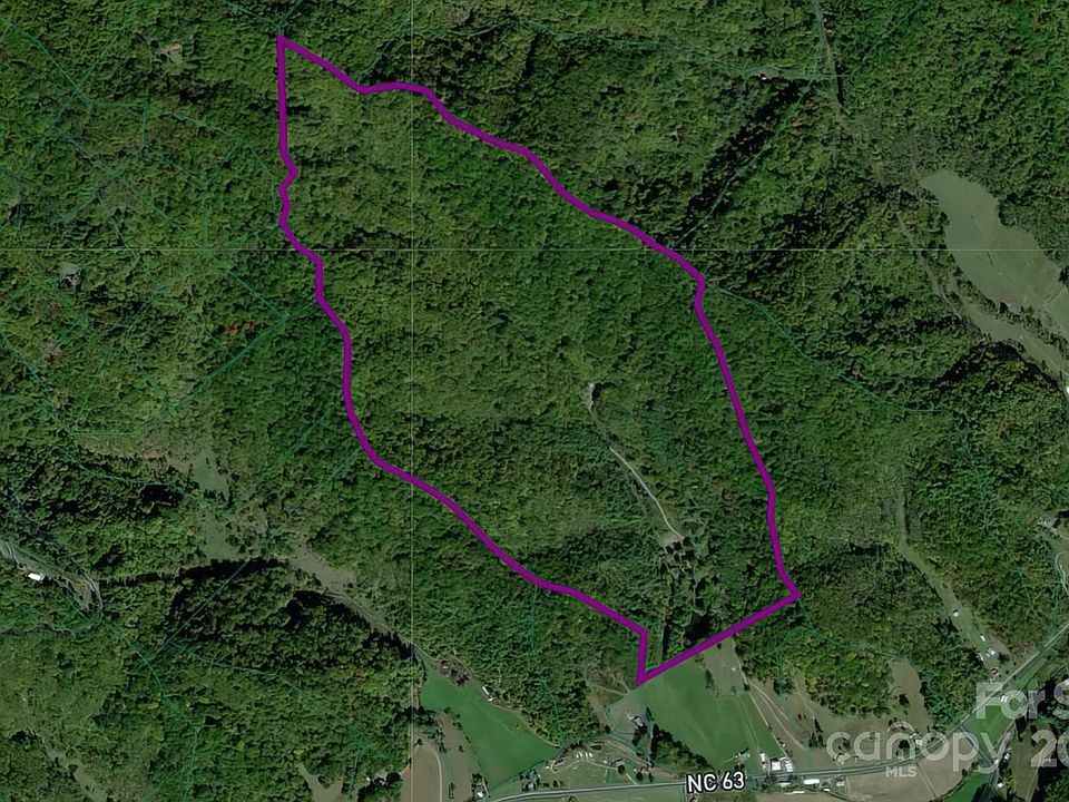 8749 State Highway 63, Leicester, NC 28748 | MLS #4214996 | Zillow
