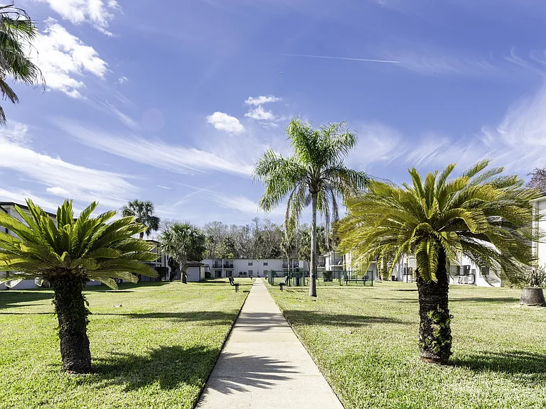 Palm Cove Apartments — Photo 15
