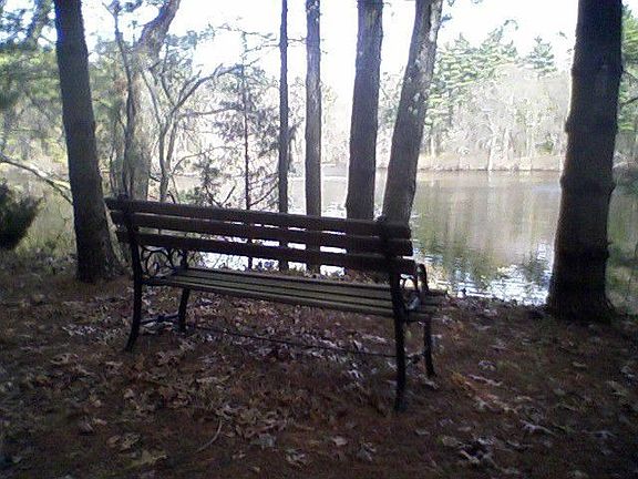 quiet contemplation