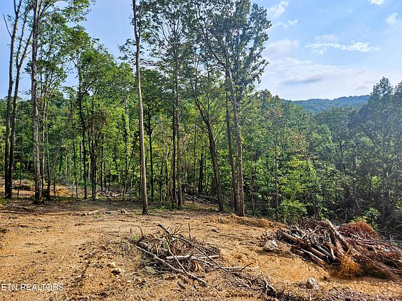 3rd image of Brewer Ln Lot 2-3