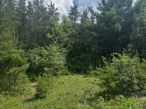 Lot 31 RED TAIL HAWK DRIVE, Stevens Point, WI 54482