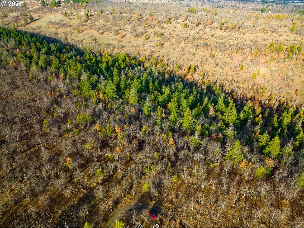 Pine Ct photo 1
