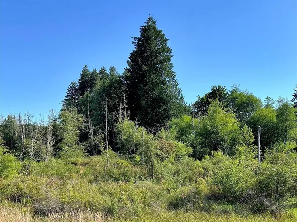 0 Basie Road, Castle Rock, WA 98611