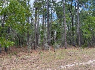 LOT 22 SW 137th St LOT 22, Ocala, FL 34473