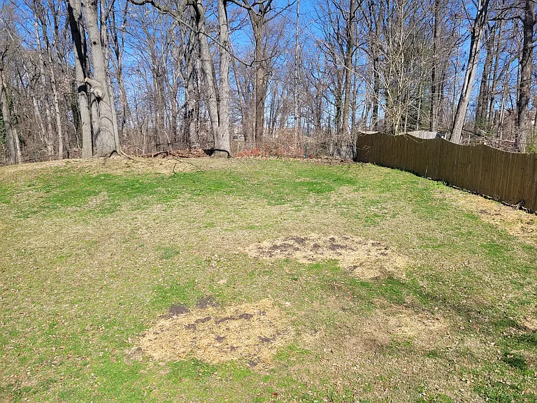 Back fenced yard