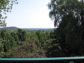 Deck View