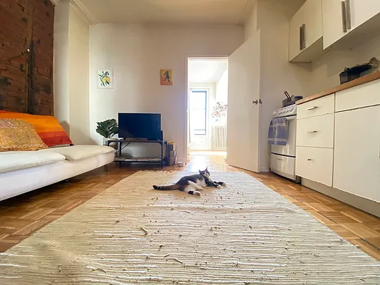 Rented by Nolita Group | media 11
