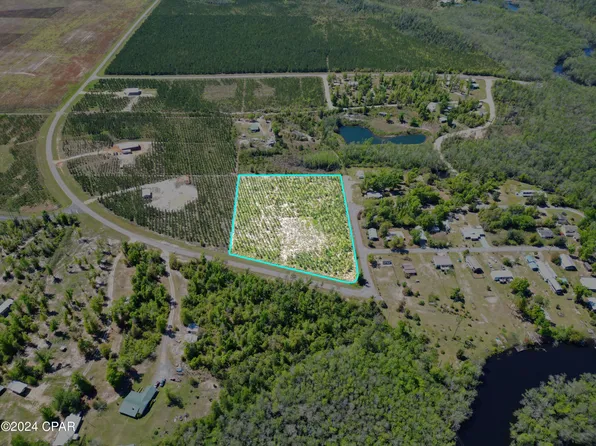 SE Oak Grove Rd, Wewahitchka, FL 32449