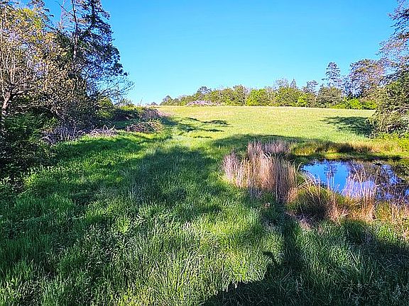5th image of 0 Majestic Meadows Way