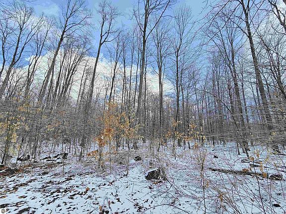 3rd image of 361 W Rhoby Rd