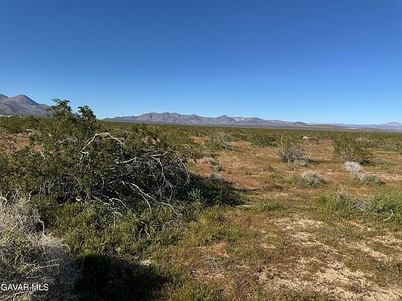 3rd image of Pearson Rd