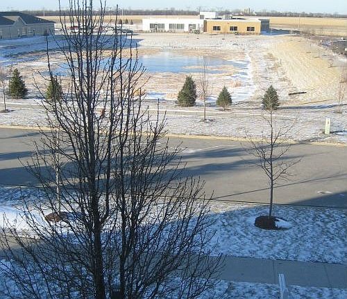 view of pond out the front window