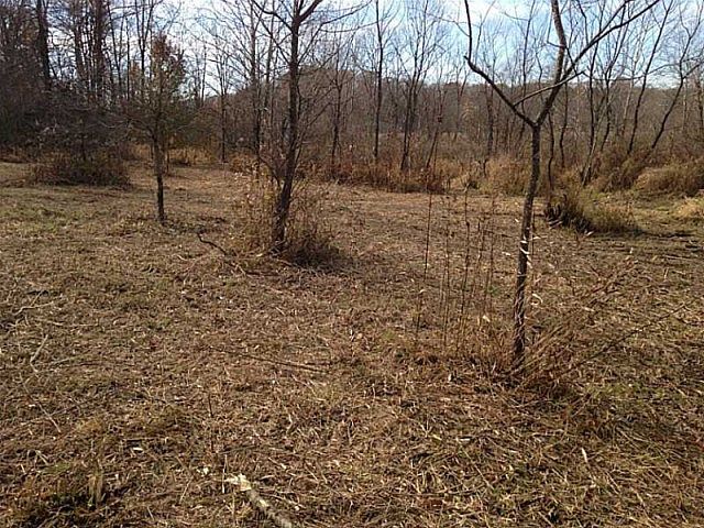 2nd image of 5415 E Gallimore Rd