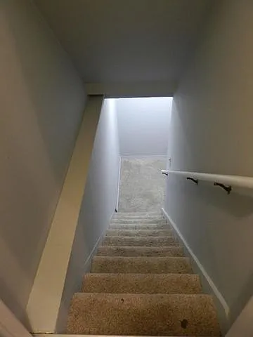 Basement Stairs