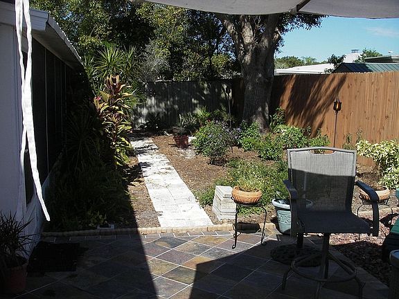 Back yard