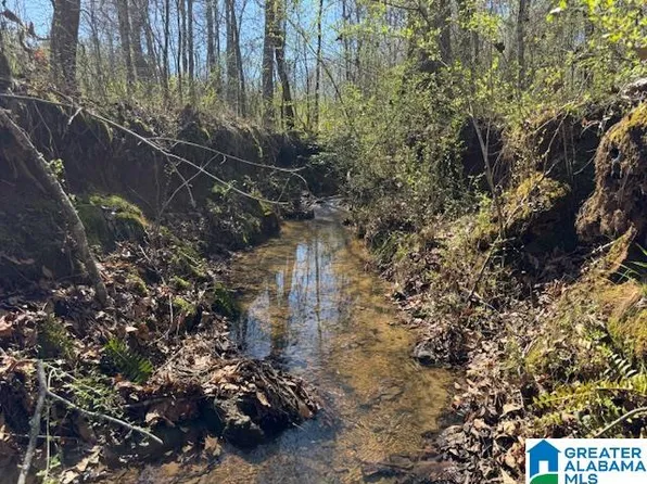 825 County Road 79 Tract, Wadley, AL 36276