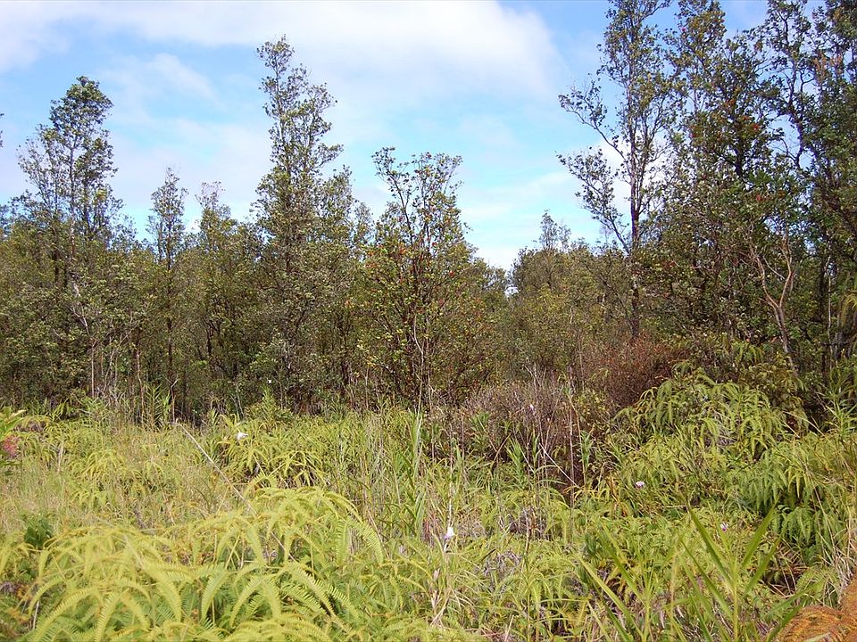 1st image of 11-2916 Pikake #7849