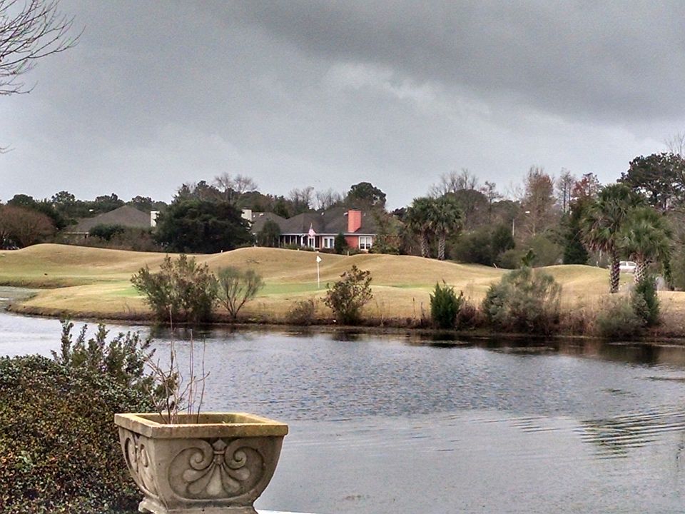 View from the back deck