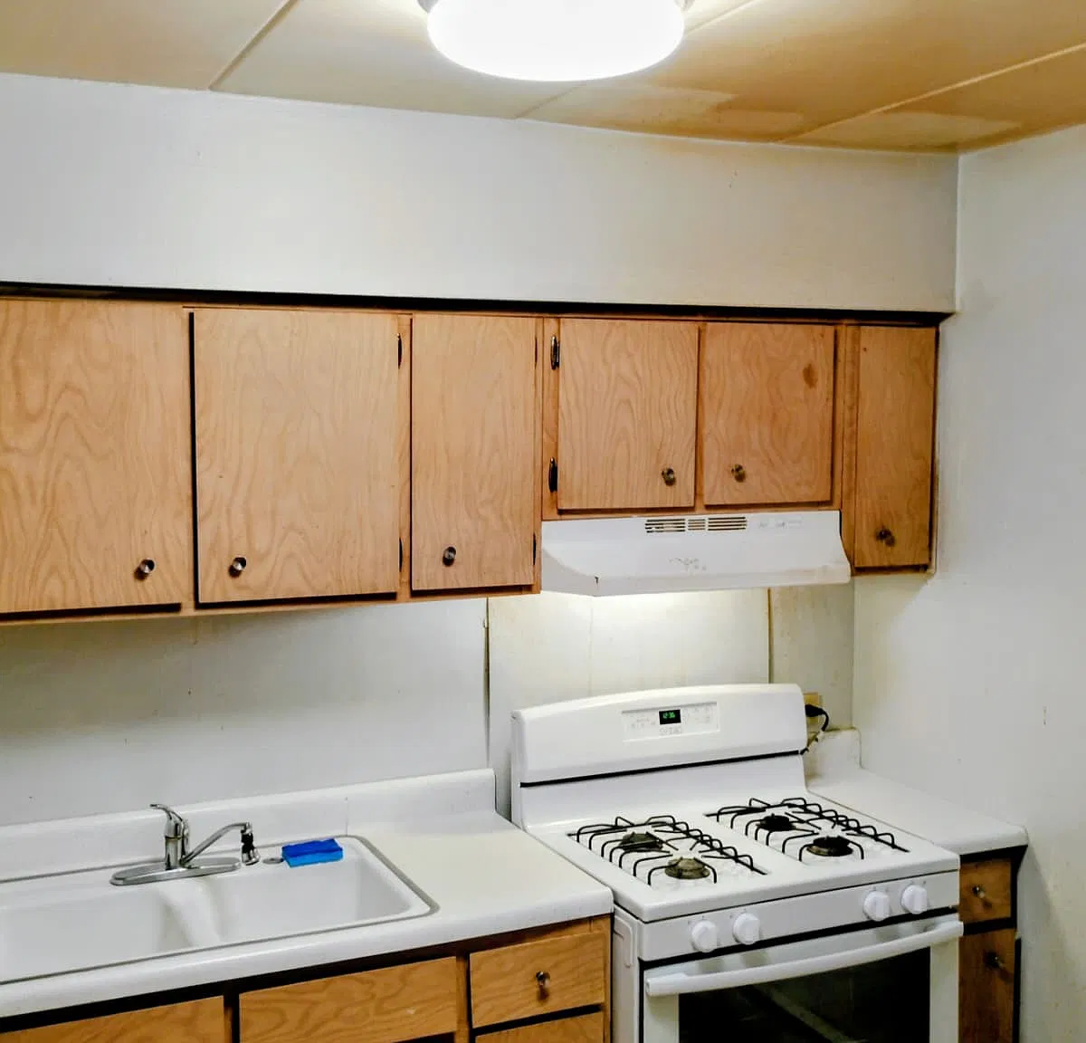 2 bed, $1,700 — Photo 4
