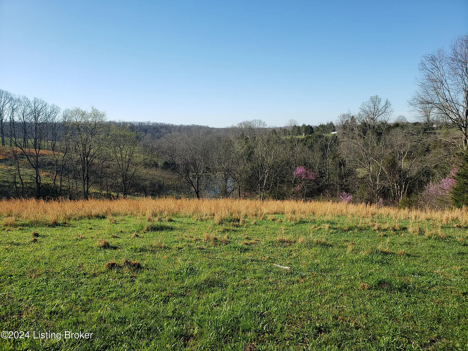 1275 Pleasant Grove Ridge Rd photo 1