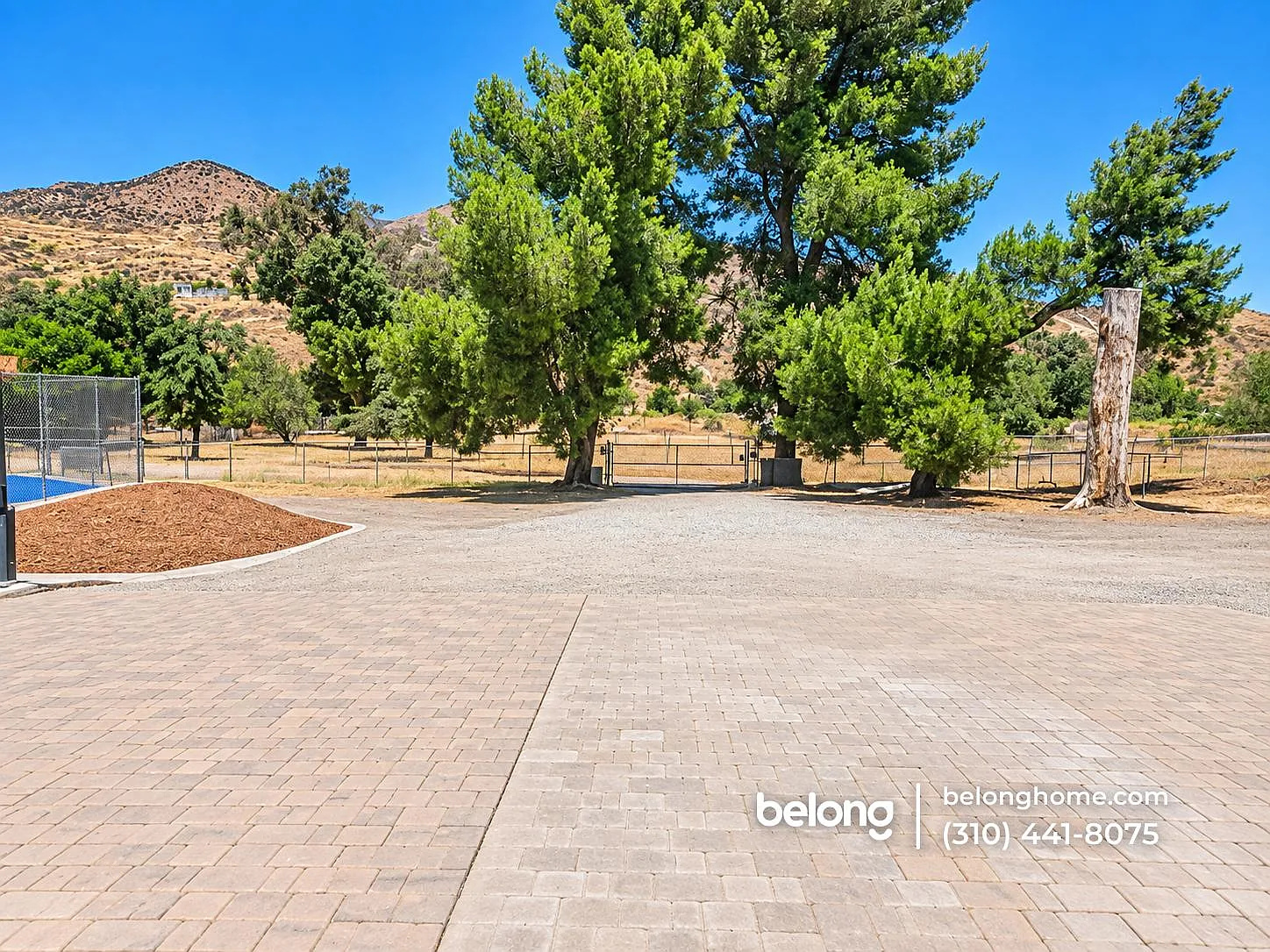 2 bed, 1.0 bath, 700 sqft, $2,595 — Photo 2