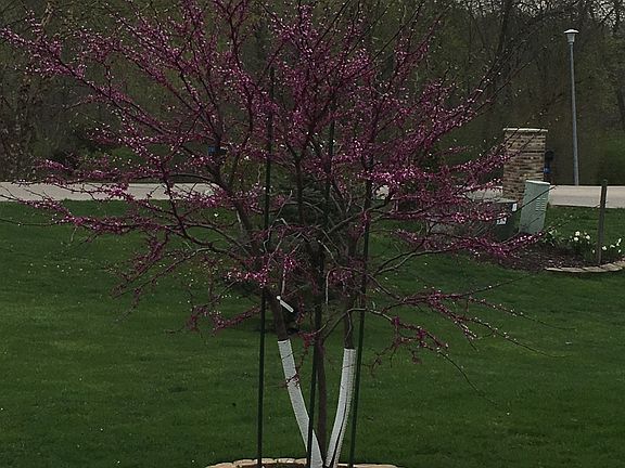 4th image of 2807 Deer Valley Dr NW