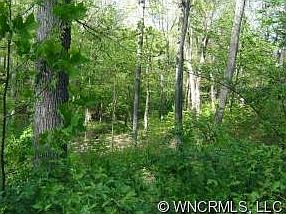 2nd image of 53 Springhead Ct