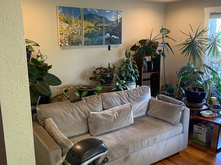 Living room.