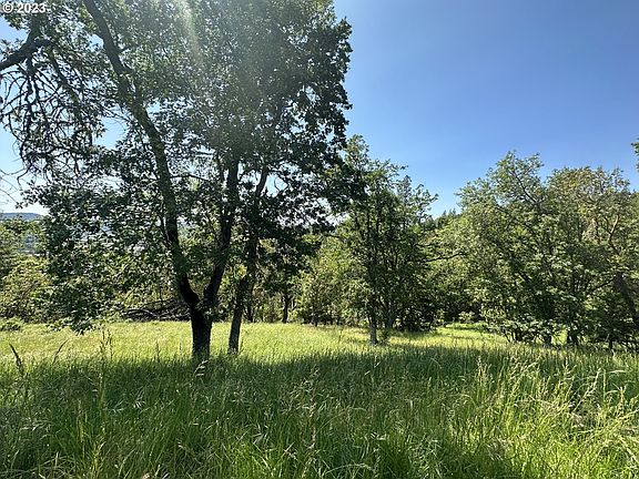 3rd image of 315 Natures Ln