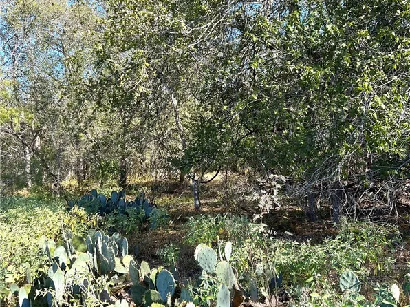 County Road 150, San Antonio, TX 78223