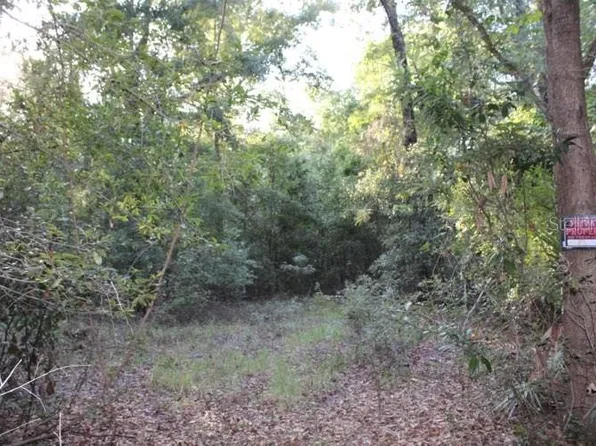 Leg Tri River Farms Lot 78, Branford, FL 32008