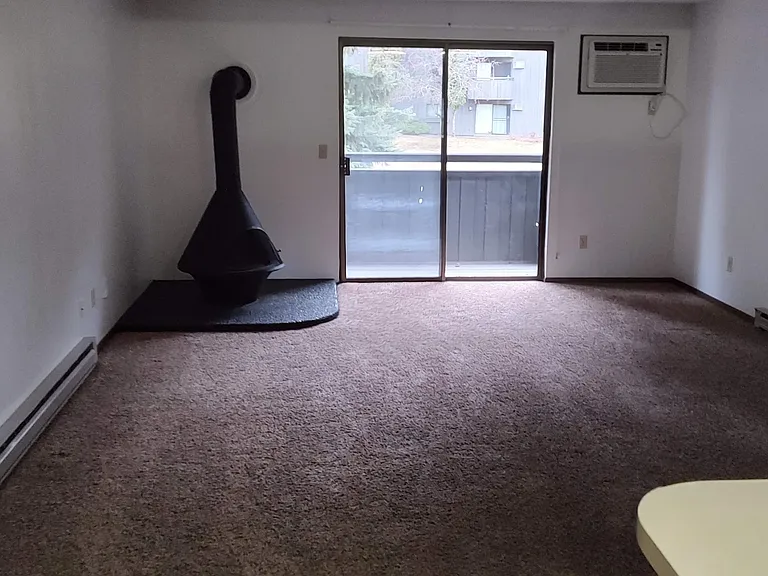 Lake Villa Apartments — Photo 49
