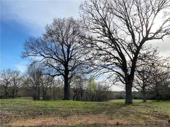 16 Cherry Bark Ln, Noel, MO 64854