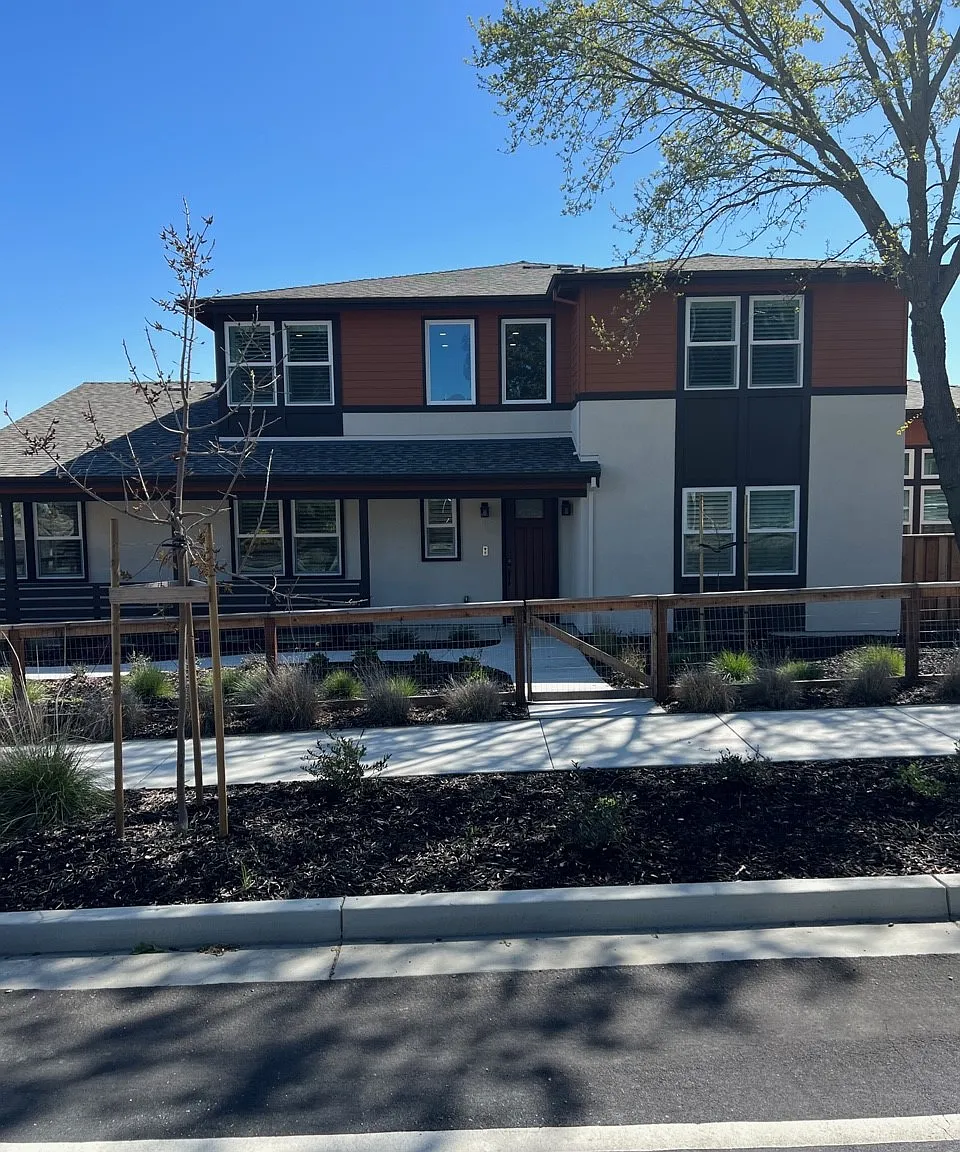 Newer Ponderosa Beauty — Photo 2