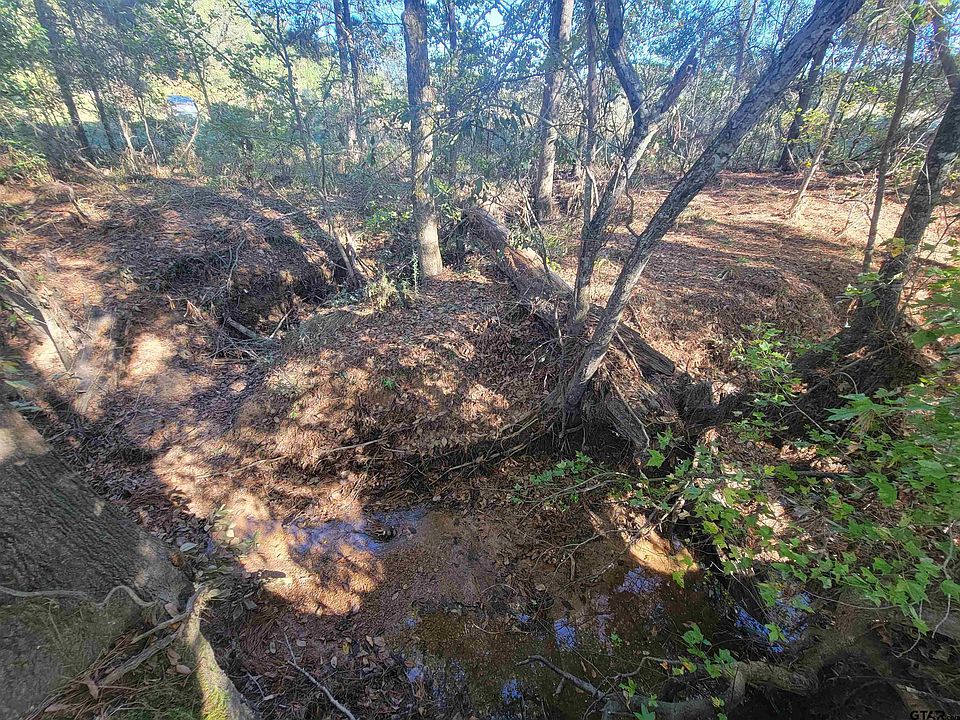 2nd image of TRACT 3 County Road 2322