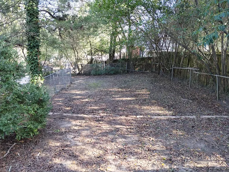 Back yard
