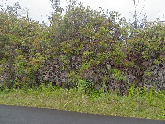 2nd image of 40th St Lot 42
