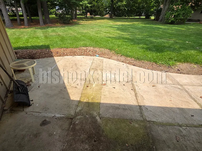 1000 Crystal Ave #1000 — Photo 14